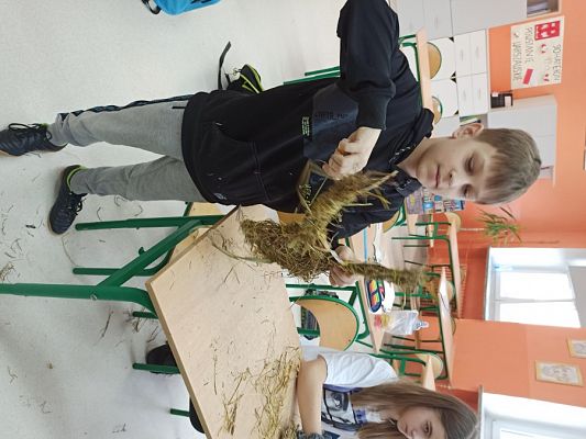  Grafika #7: Ozdoby Wielkanocne z siana