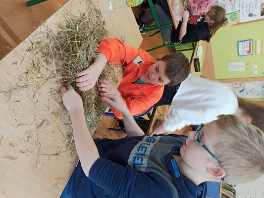  Grafika #14: Ozdoby Wielkanocne z siana