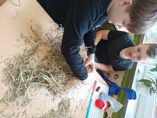  Grafika #15: Ozdoby Wielkanocne z siana