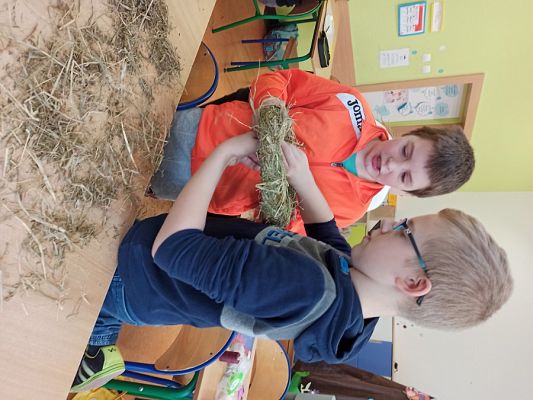  Grafika #21: Ozdoby Wielkanocne z siana