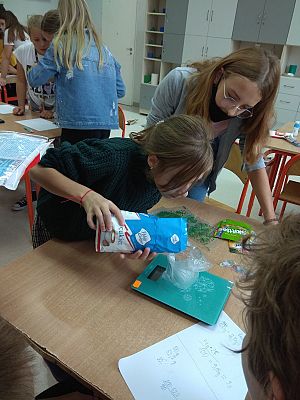  Grafika #11: "Ile cukru jest w słodyczach?"- warsztaty